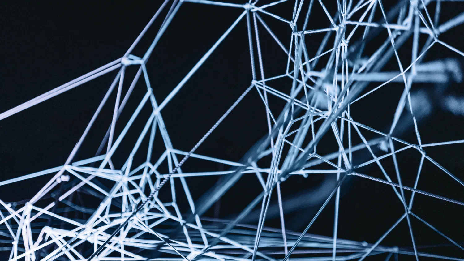 Shibari installation work by Pablo Aida